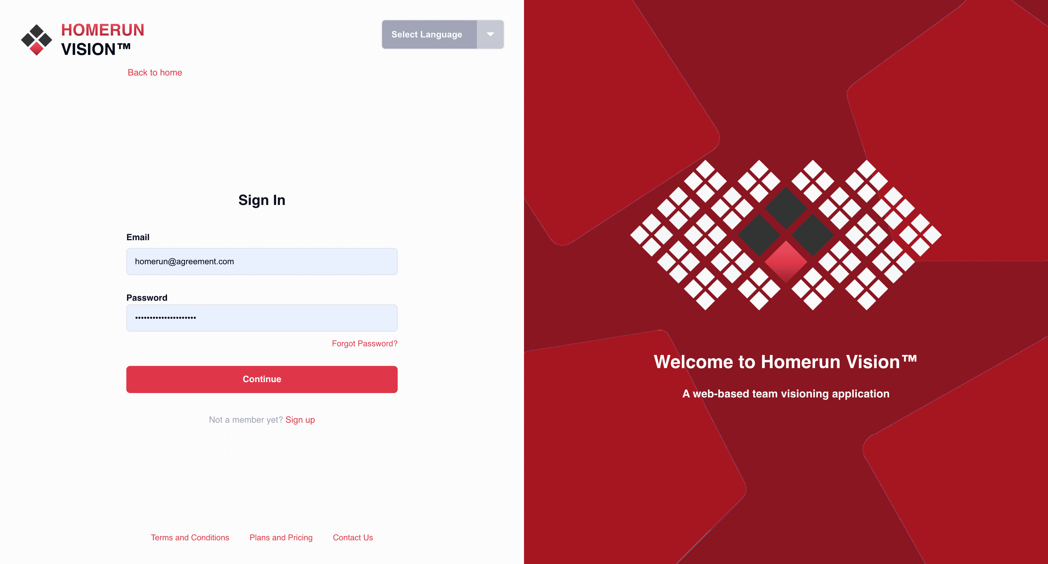 Homerun Vision - Thumbnail 2